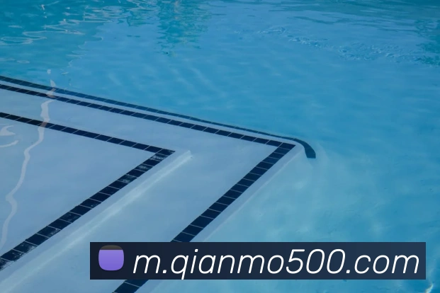 App Interface Preview